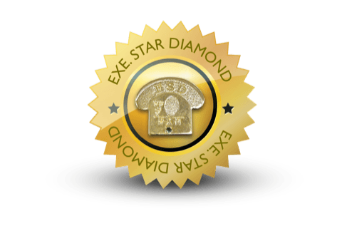 Executive Star Diamond status badge