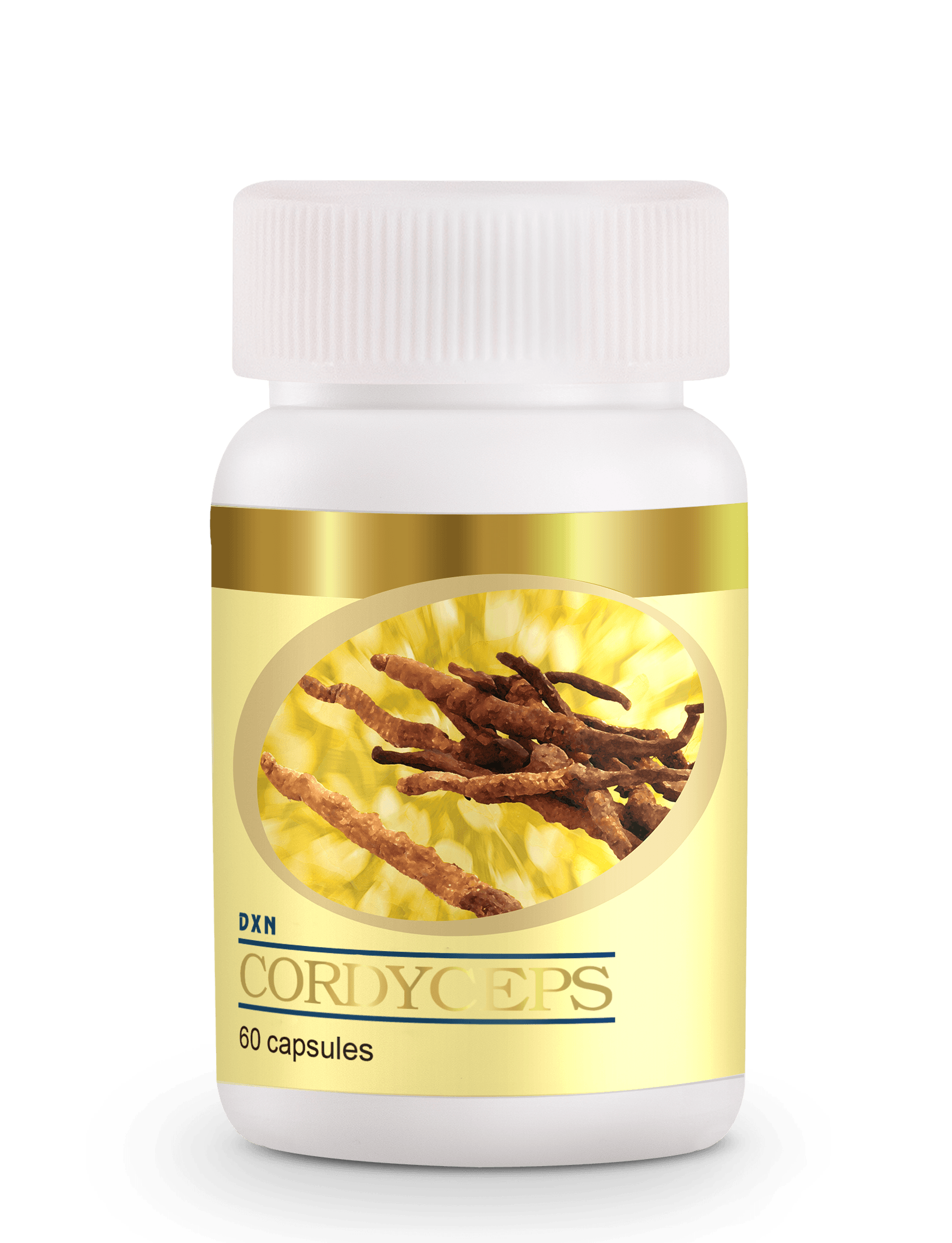 DXN Cordyceps Capsule 60's