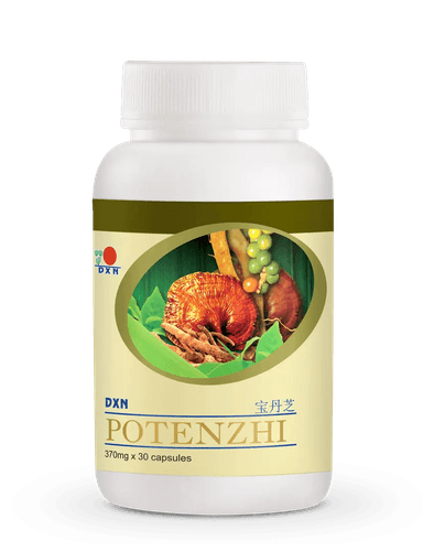 Reishi Mushroom Powder