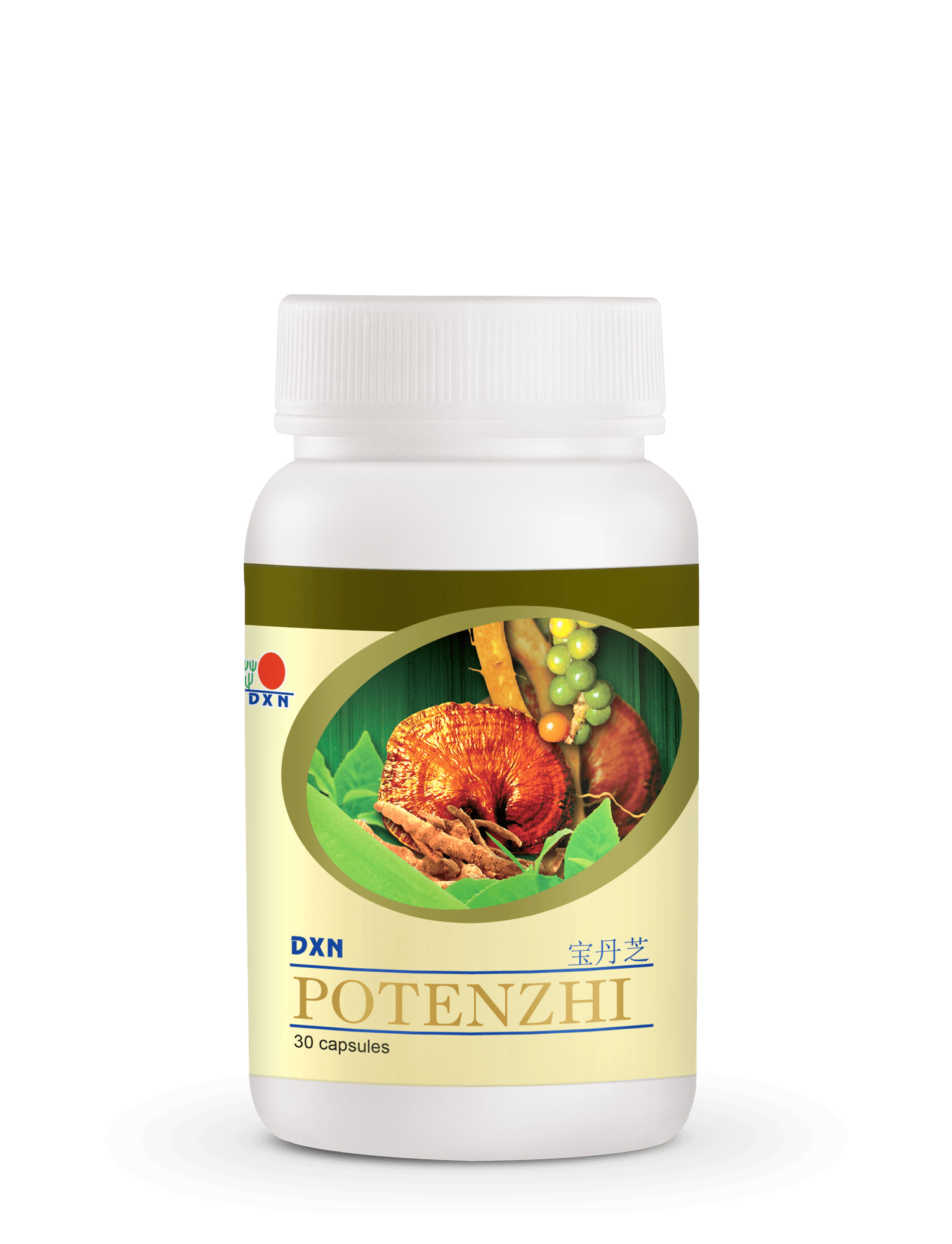 DXN Potenzhi 30's