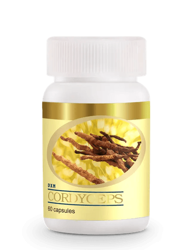 DXN Cordyceps