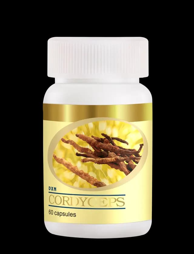 DXN Cordyceps